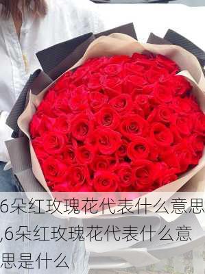 6朵红玫瑰花代表什么意思,6朵红玫瑰花代表什么意思是什么