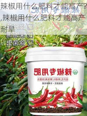 辣椒用什么肥料才能高产?,辣椒用什么肥料才能高产耐旱-第1张图片-花卉百科