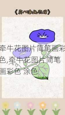 牵牛花图片简笔画彩色,牵牛花图片简笔画彩色 涂色