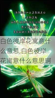 白色彼岸花寓意什么意思,白色彼岸花寓意什么意思啊