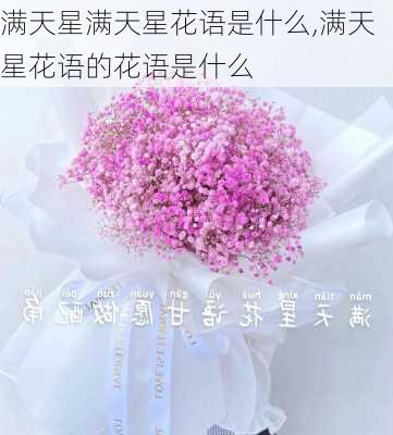 满天星满天星花语是什么,满天星花语的花语是什么