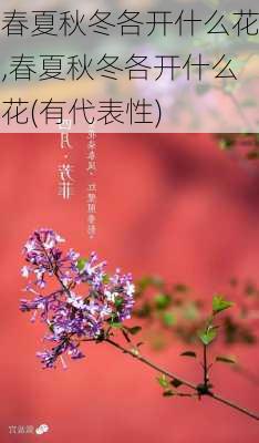 春夏秋冬各开什么花,春夏秋冬各开什么花(有代表性)-第2张图片-花卉百科