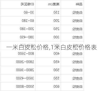 一米白皮松价格,1米白皮松价格表