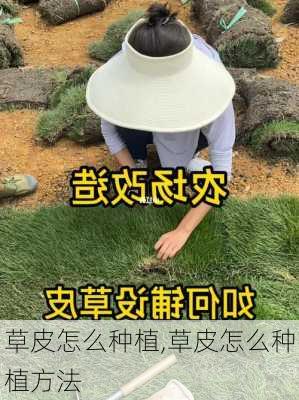 草皮怎么种植,草皮怎么种植方法-第2张图片-花卉百科