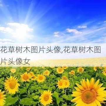 花草树木图片头像,花草树木图片头像女-第1张图片-花卉百科