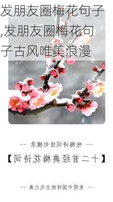 发朋友圈梅花句子,发朋友圈梅花句子古风唯美浪漫