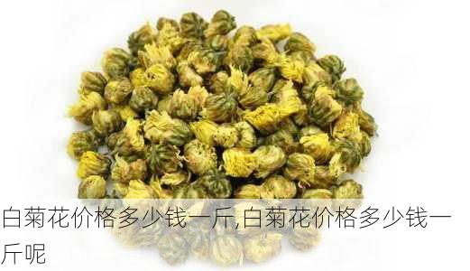 白菊花价格多少钱一斤,白菊花价格多少钱一斤呢-第2张图片-花卉百科