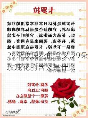 29朵玫瑰花的含义,29朵玫瑰花的含义是什么-第3张图片-花卉百科