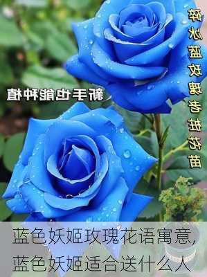 蓝色妖姬玫瑰花语寓意,蓝色妖姬适合送什么人-第2张图片-花卉百科