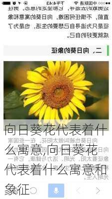 向日葵花代表着什么寓意,向日葵花代表着什么寓意和象征-第2张图片-花卉百科