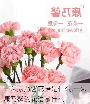 一朵康乃馨花语是什么,一朵康乃馨的花语是什么-第2张图片-花卉百科