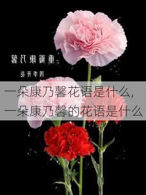 一朵康乃馨花语是什么,一朵康乃馨的花语是什么-第1张图片-花卉百科