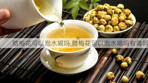 腊梅花可以泡水喝吗,腊梅花可以泡水喝吗有毒吗-第1张图片-花卉百科