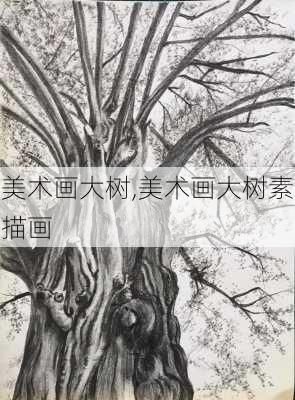 美术画大树,美术画大树素描画-第2张图片-花卉百科