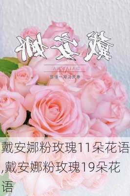 戴安娜粉玫瑰11朵花语,戴安娜粉玫瑰19朵花语-第3张图片-花卉百科