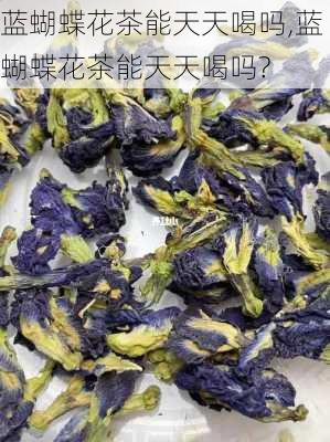 蓝蝴蝶花茶能天天喝吗,蓝蝴蝶花茶能天天喝吗?-第3张图片-花卉百科