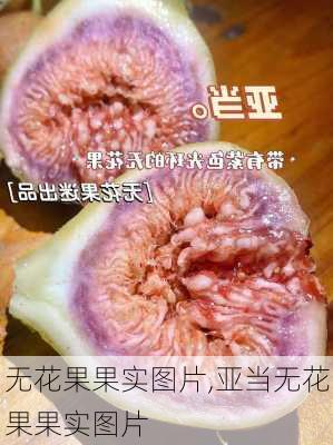 无花果果实图片,亚当无花果果实图片-第2张图片-花卉百科