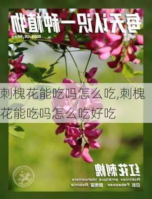 刺槐花能吃吗怎么吃,刺槐花能吃吗怎么吃好吃-第3张图片-花卉百科