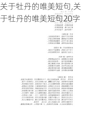 关于牡丹的唯美短句,关于牡丹的唯美短句20字-第2张图片-花卉百科