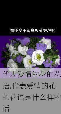 代表爱情的花的花语,代表爱情的花的花语是什么样的话-第1张图片-花卉百科