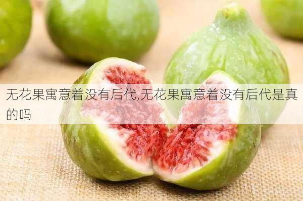 无花果寓意着没有后代,无花果寓意着没有后代是真的吗