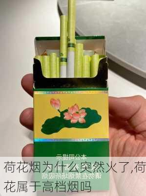 荷花烟为什么突然火了,荷花属于高档烟吗-第1张图片-花卉百科