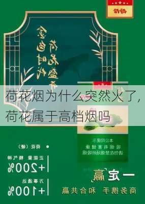 荷花烟为什么突然火了,荷花属于高档烟吗-第2张图片-花卉百科