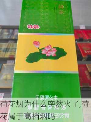 荷花烟为什么突然火了,荷花属于高档烟吗-第3张图片-花卉百科