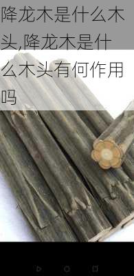 降龙木是什么木头,降龙木是什么木头有何作用吗-第1张图片-花卉百科