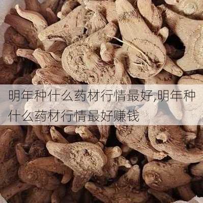 明年种什么药材行情最好,明年种什么药材行情最好赚钱