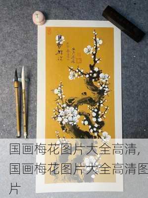 国画梅花图片大全高清,国画梅花图片大全高清图片-第3张图片-花卉百科