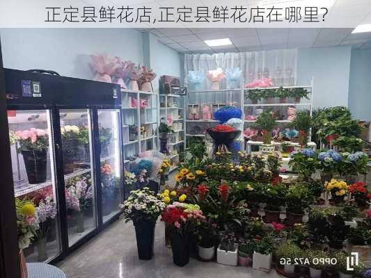 正定县鲜花店,正定县鲜花店在哪里?-第2张图片-花卉百科