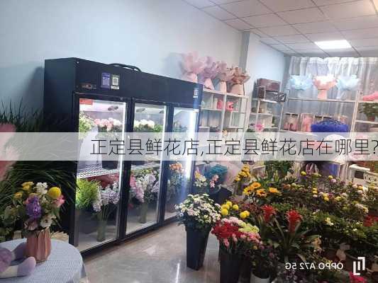 正定县鲜花店,正定县鲜花店在哪里?-第3张图片-花卉百科