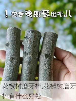 花椒树磨牙棒,花椒树磨牙棒有什么好处-第2张图片-花卉百科