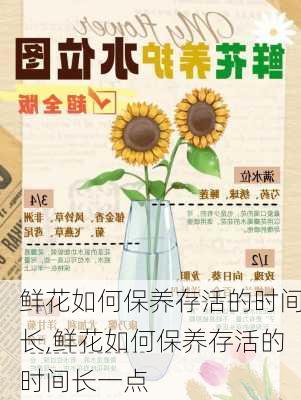 鲜花如何保养存活的时间长,鲜花如何保养存活的时间长一点-第1张图片-花卉百科