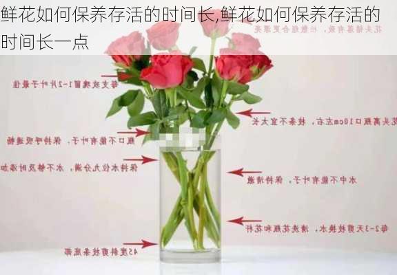 鲜花如何保养存活的时间长,鲜花如何保养存活的时间长一点-第3张图片-花卉百科