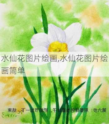 水仙花图片绘画,水仙花图片绘画简单