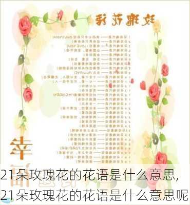 21朵玫瑰花的花语是什么意思,21朵玫瑰花的花语是什么意思呢