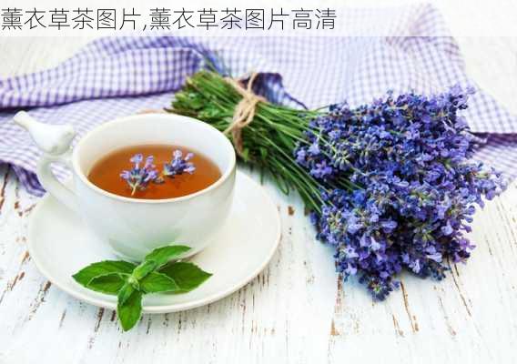 薰衣草茶图片,薰衣草茶图片高清