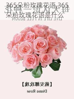 365朵粉玫瑰花语,365朵粉玫瑰花语是什么