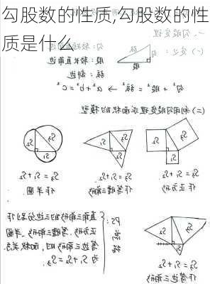 勾股数的性质,勾股数的性质是什么-第2张图片-花卉百科