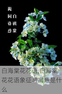 白海棠花花语,白海棠花花语象征与寓意是什么-第1张图片-花卉百科