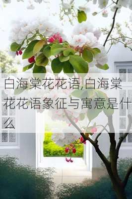 白海棠花花语,白海棠花花语象征与寓意是什么-第2张图片-花卉百科