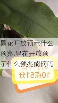 昙花开放预示什么预兆,昙花开放预示什么预兆能摘吗