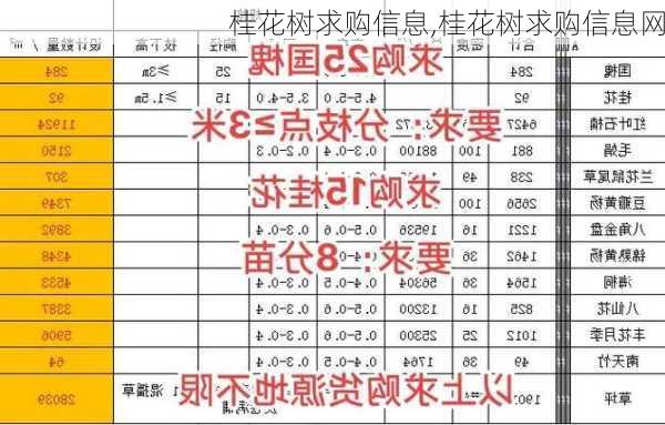 桂花树求购信息,桂花树求购信息网-第1张图片-花卉百科