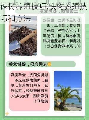 铁树养殖技巧,铁树养殖技巧和方法-第2张图片-花卉百科