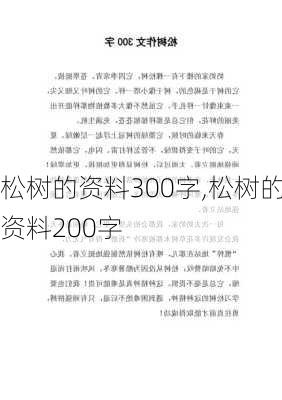 松树的资料300字,松树的资料200字-第1张图片-花卉百科