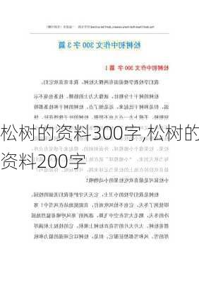 松树的资料300字,松树的资料200字-第2张图片-花卉百科