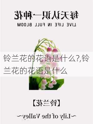 铃兰花的花语是什么?,铃兰花的花语是什么