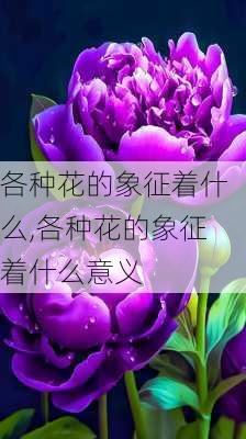 各种花的象征着什么,各种花的象征着什么意义